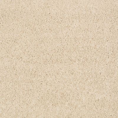 Anderson Tuftex American Home Fashions Nice Dreams I Dream Dust 00220_ZA814