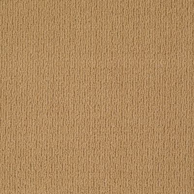 Anderson Tuftex American Home Fashions Ahead Of Time Colonial Gold 00226_ZA820