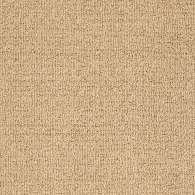 Anderson Tuftex American Home Fashions Ahead Of Time Spring Buttercup 00282_ZA820