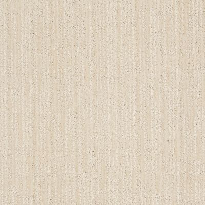 Anderson Tuftex American Home Fashions Elsmere Latte Froth 00111_ZA829