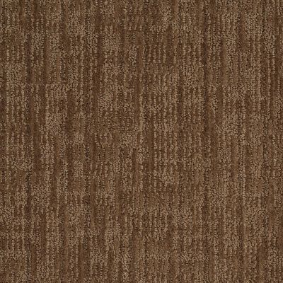 Anderson Tuftex American Home Fashions Elsmere Buffalo Trail 00778_ZA829