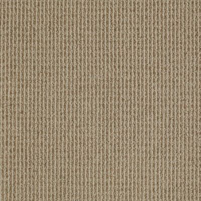 Anderson Tuftex American Home Fashions Baywood Ave. Neutral Taupe 00572_ZA861
