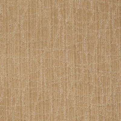 Anderson Tuftex American Home Fashions So Rare Crushed Cashew 00263_ZA869