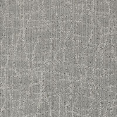 Anderson Tuftex American Home Fashions So Rare Polished Silver 00542_ZA869