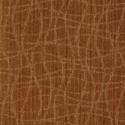 Anderson Tuftex American Home Fashions So Rare Melted Copper 00626_ZA869