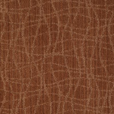 Anderson Tuftex American Home Fashions So Rare Brushed Clay 00685_ZA869