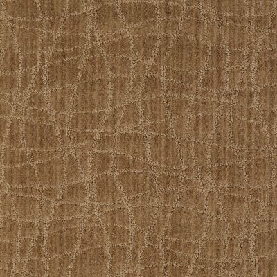 Anderson Tuftex American Home Fashions So Rare Starfish 00726_ZA869
