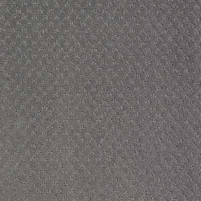 Anderson Tuftex American Home Fashions My Rules Pewter 00557_ZA899