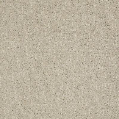 Anderson Tuftex American Home Fashions Let’s Mix Oyster 00512_ZA908
