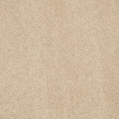 Anderson Tuftex American Home Fashions Nice Dreams II Humus 00122_ZA942