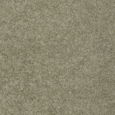 Anderson Tuftex American Home Fashions Ziggy Shadow Play 00301_ZA945