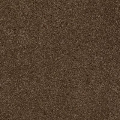 Anderson Tuftex American Home Fashions Ziggy Derby Brown 00703_ZA945