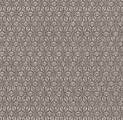 Anderson Tuftex Builder Purrfect Timing Smokey Gray 00553_ZB243