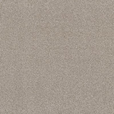 Anderson Tuftex Builder Terra Firma Spun Cotton 00172_ZB252