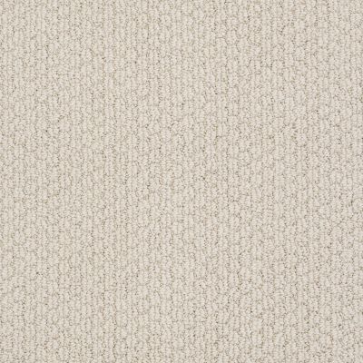 Anderson Tuftex Builder Rancho Hill Brushed Ivory 00111_ZB780
