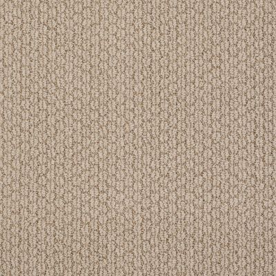 Anderson Tuftex Builder Rancho Hill Baked Beige 00173_ZB780