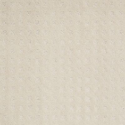 Anderson Tuftex Builder Playa Vista Mild Ivory 00120_ZB781