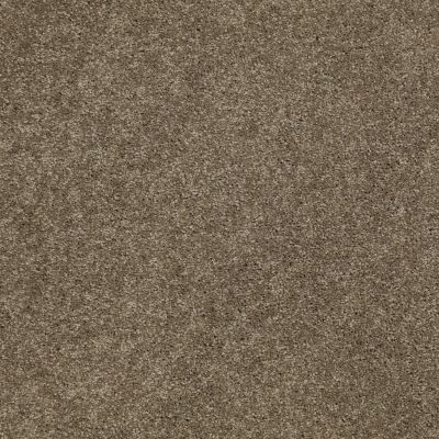Anderson Tuftex Builder Sheer Genius II Cottage Stone 00735_ZB942