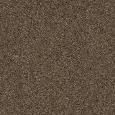 Anderson Tuftex Secretly Free Spirit 00576_ZE090