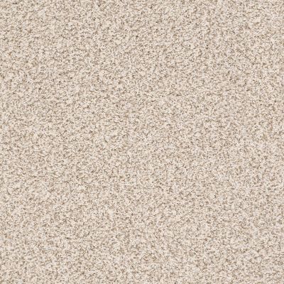 Anderson Tuftex Trends Caramel Corn 0113B_ZE219