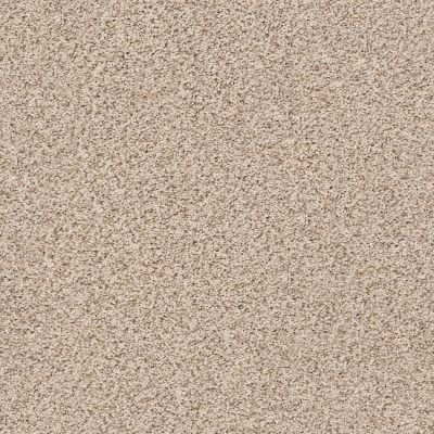 Anderson Tuftex Trends Maple Sugar 0172B_ZE219