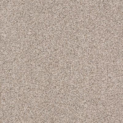 Anderson Tuftex Trends Timid Taupe 0574B_ZE219