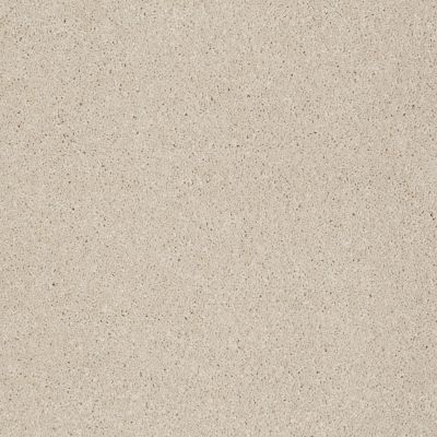 Anderson Tuftex American Home Fashions Our Place I Lambswool 00112_ZJ003