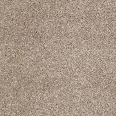 Anderson Tuftex American Home Fashions Our Place I Latte 00172_ZJ003
