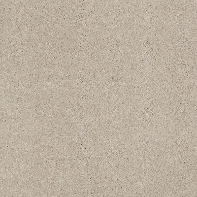 Anderson Tuftex American Home Fashions Our Place II Tea Biscuit 00121_ZJ005