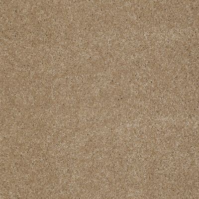 Anderson Tuftex American Home Fashions Our Place II Oat Cake 00273_ZJ005