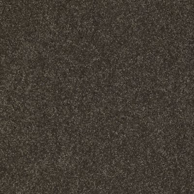 Anderson Tuftex American Home Fashions Our Place II Mineralite 00757_ZJ005