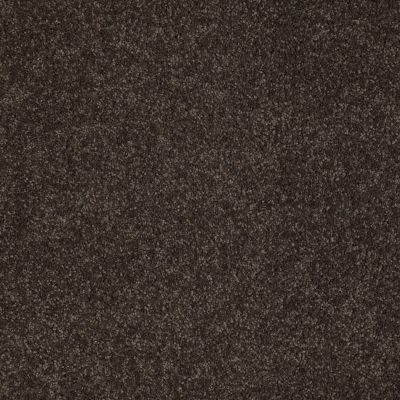 Anderson Tuftex American Home Fashions Our Place II Cocoa Bean 00778_ZJ005