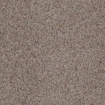 Anderson Tuftex American Home Fashions Our Place II Stoney Ground 0132B_ZJ005