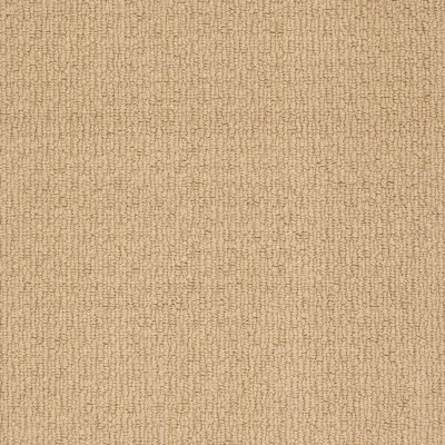 Anderson Tuftex AHF Builder Select Now Showing Spring Buttercup 00282_ZL820