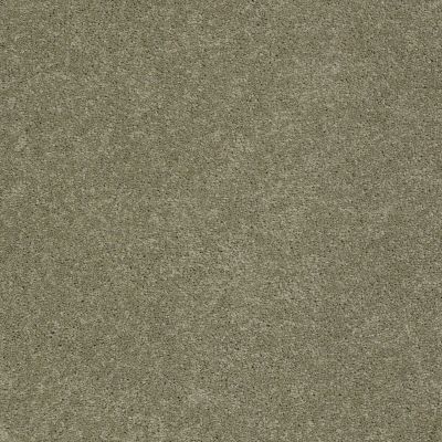 Anderson Tuftex AHF Builder Select Queenie Shadow Play 00301_ZL950