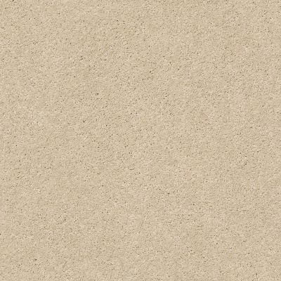Anderson Tuftex Free Form Morning Light 00113_ZZ001