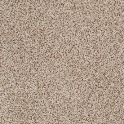 Anderson Tuftex Palladio II Wheat 00212_ZZ002
