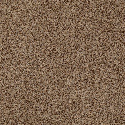 Anderson Tuftex Palladio II Sandstorm 00756_ZZ002