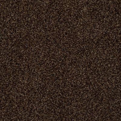 Anderson Tuftex Palladio II Granite 00778_ZZ002