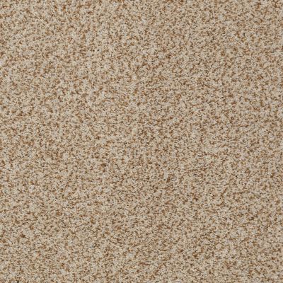 Anderson Tuftex Venecia II Cappuccino 00174_ZZ004