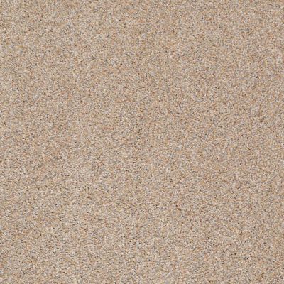 Anderson Tuftex Venecia II Amber Rose 00622_ZZ004