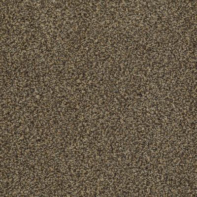 Anderson Tuftex Venecia II Taupe 00728_ZZ004