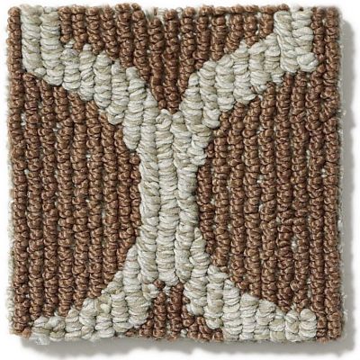 Shop Anderson Tuftex Taza Ii Copper Dust 00677 Zz008 Carpet Reinhold Flooring