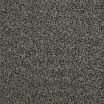 Anderson Tuftex Pet Perfect On Point Earth 00776_ZZ012