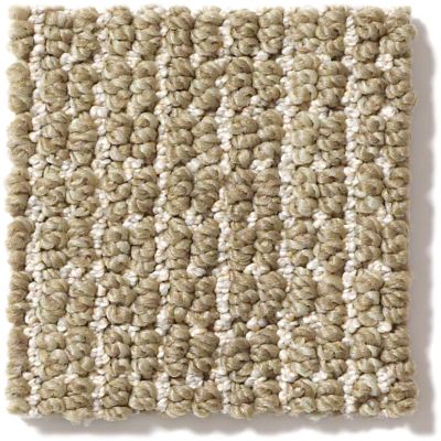 Shop Anderson Tuftex St Lucia Moss 00337 Zz038 Carpet Carpet Advantage Company Inc