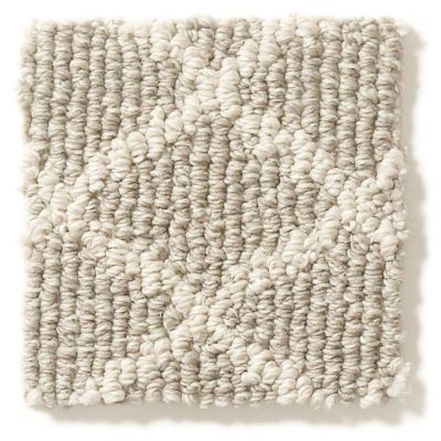 Shop Anderson Tuftex Springer S Point Shoreline 00754 Zz049 Carpet Barrett Floors