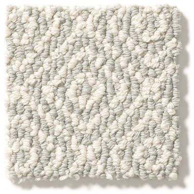 Shop Anderson Tuftex Stroll Iced Marble 00514 Zz050 Carpet Reinhold Flooring