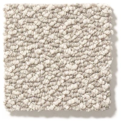 Shop Anderson Tuftex Stroll Shoreline 00754 Zz050 Carpet