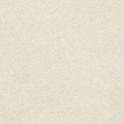 Anderson Tuftex Second Glance Soft Chamois 00121_ZZ058