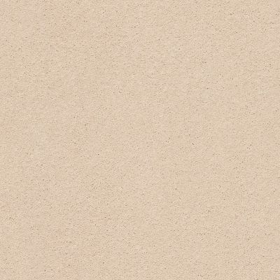 Anderson Tuftex Second Glance Delicate Tan 00163_ZZ058